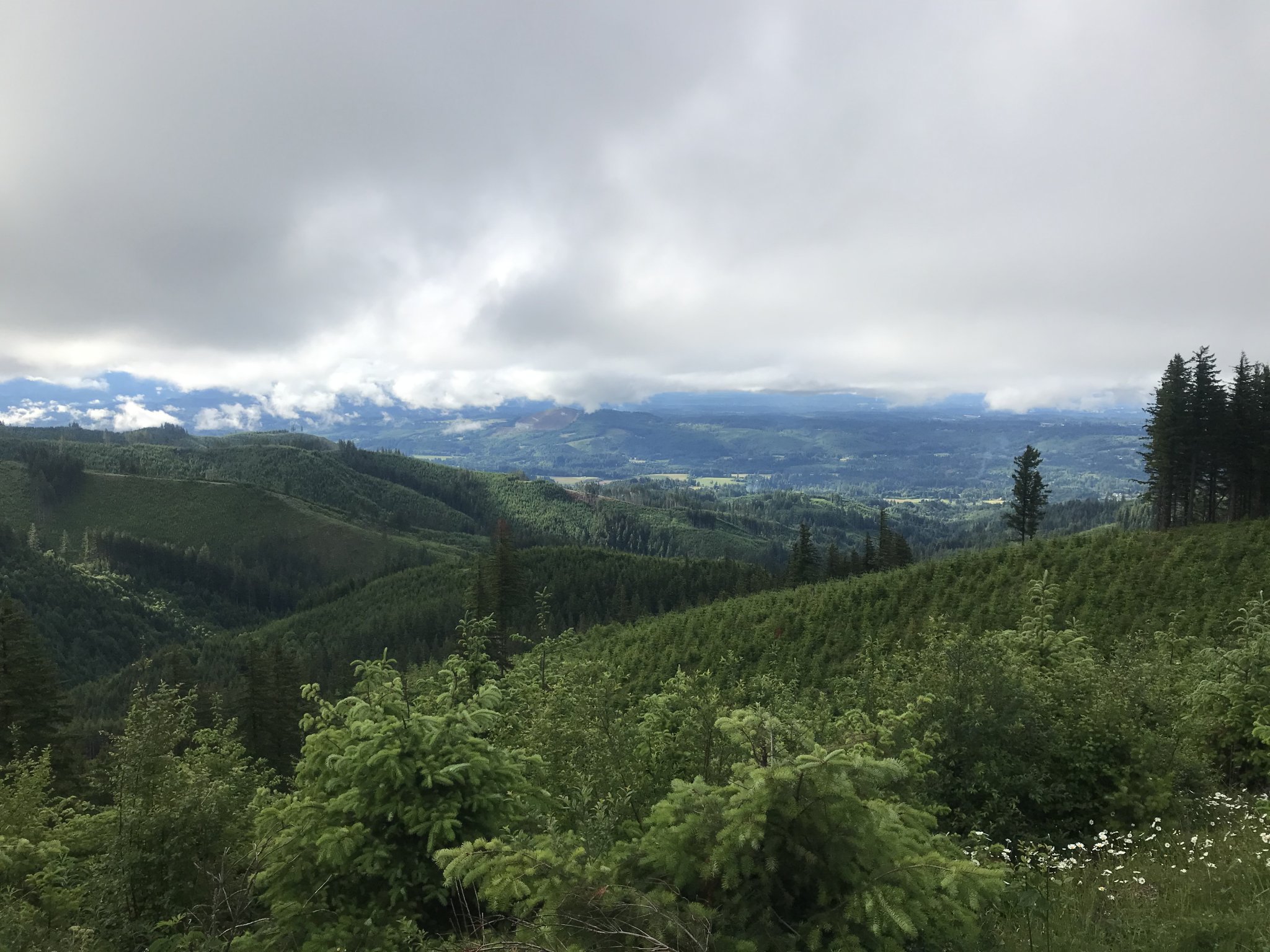D02C2925-D86E-4083-A255-1284864E0173.jpeg