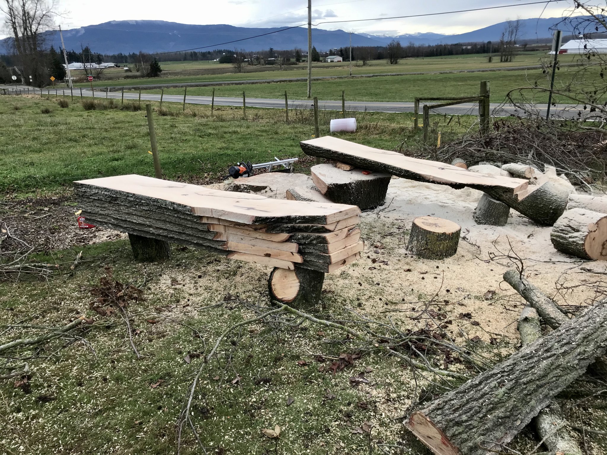 D0376166-3543-4053-878F-15201640D541.jpeg