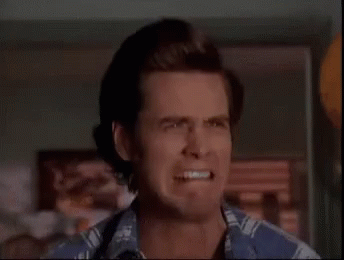 D0B0757B-82B7-4926-8E3C-B0DA2BDE5D51.gif
