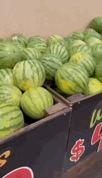 D0F456FF-950A-4501-A706-9243A0E54E48.gif