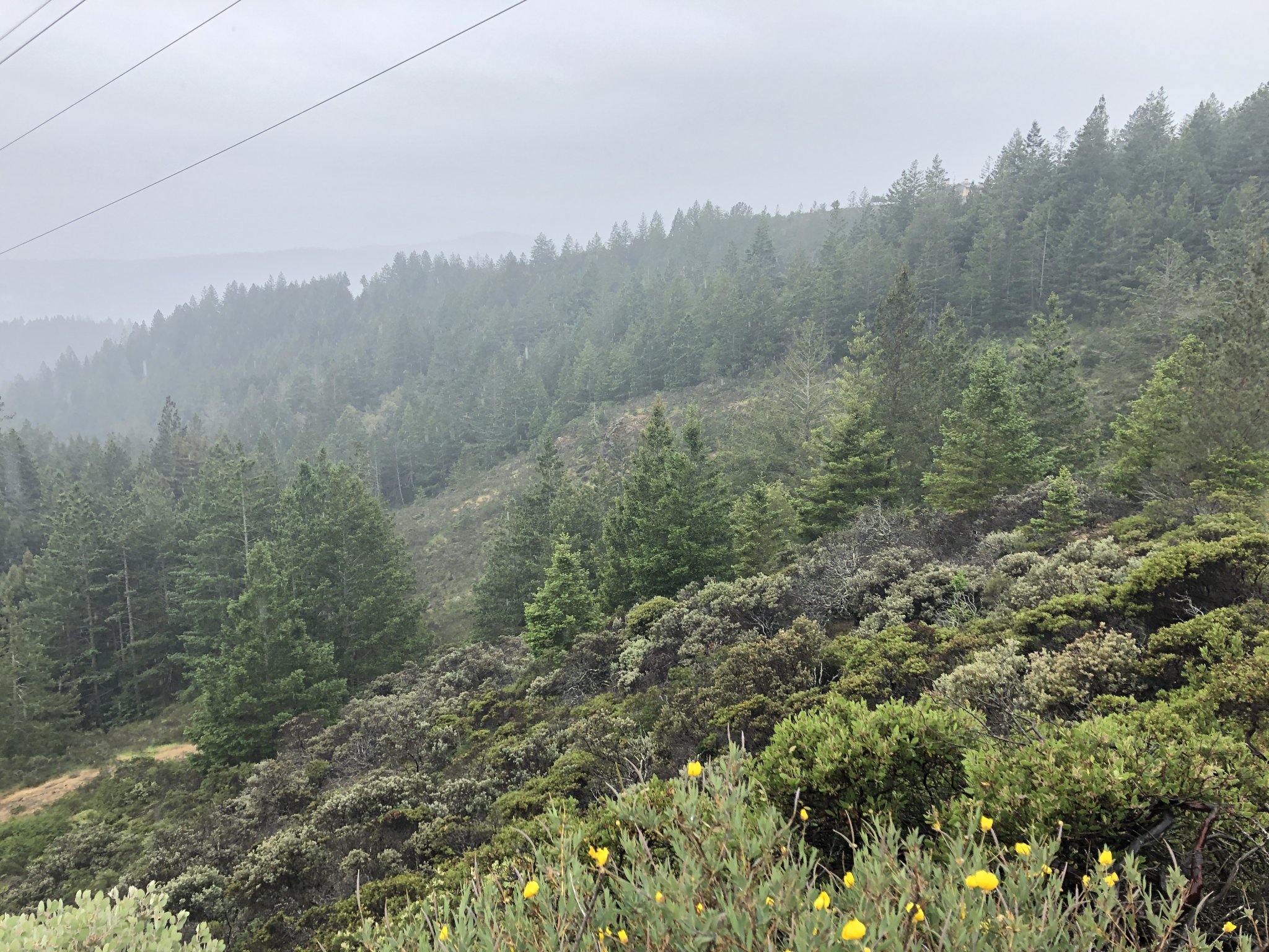 D10957E9-2367-4678-8684-A0CC07B4B893.jpeg