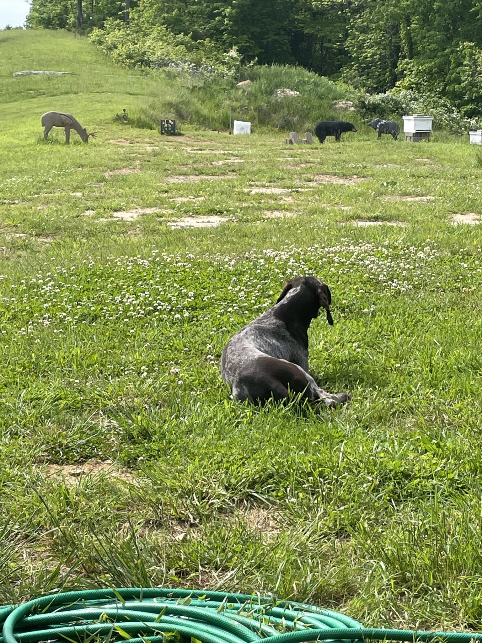 D133F608-D0AF-4772-842F-CE5E39A39503.jpeg