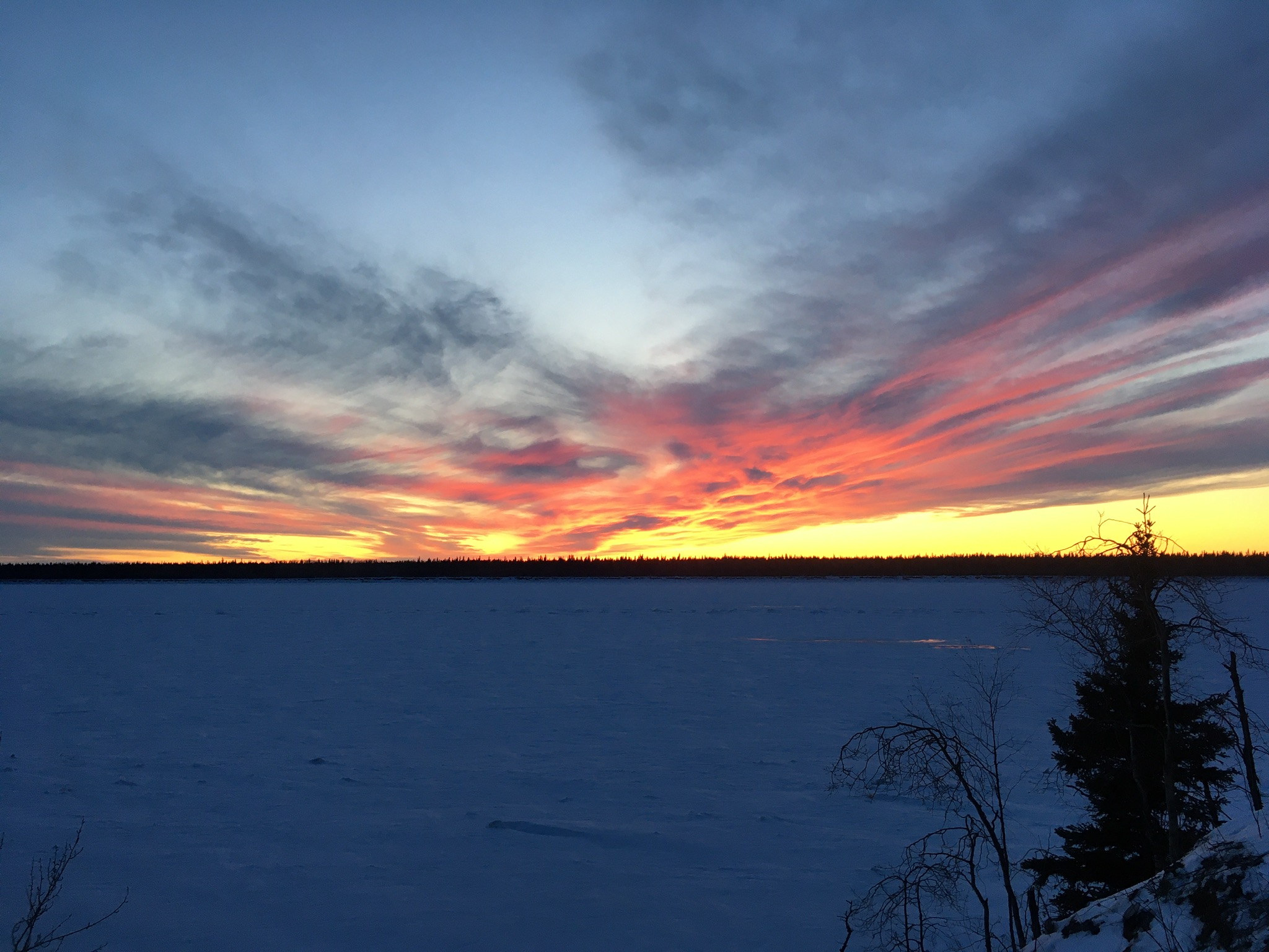 D1BA38DB-AF13-46FD-913D-4615E5EF8704.jpeg