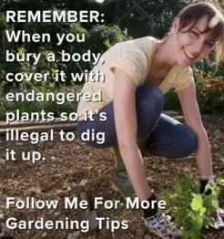 D1E1B233-8422-4B52-AD59-3E2FF7D526B6.jpeg