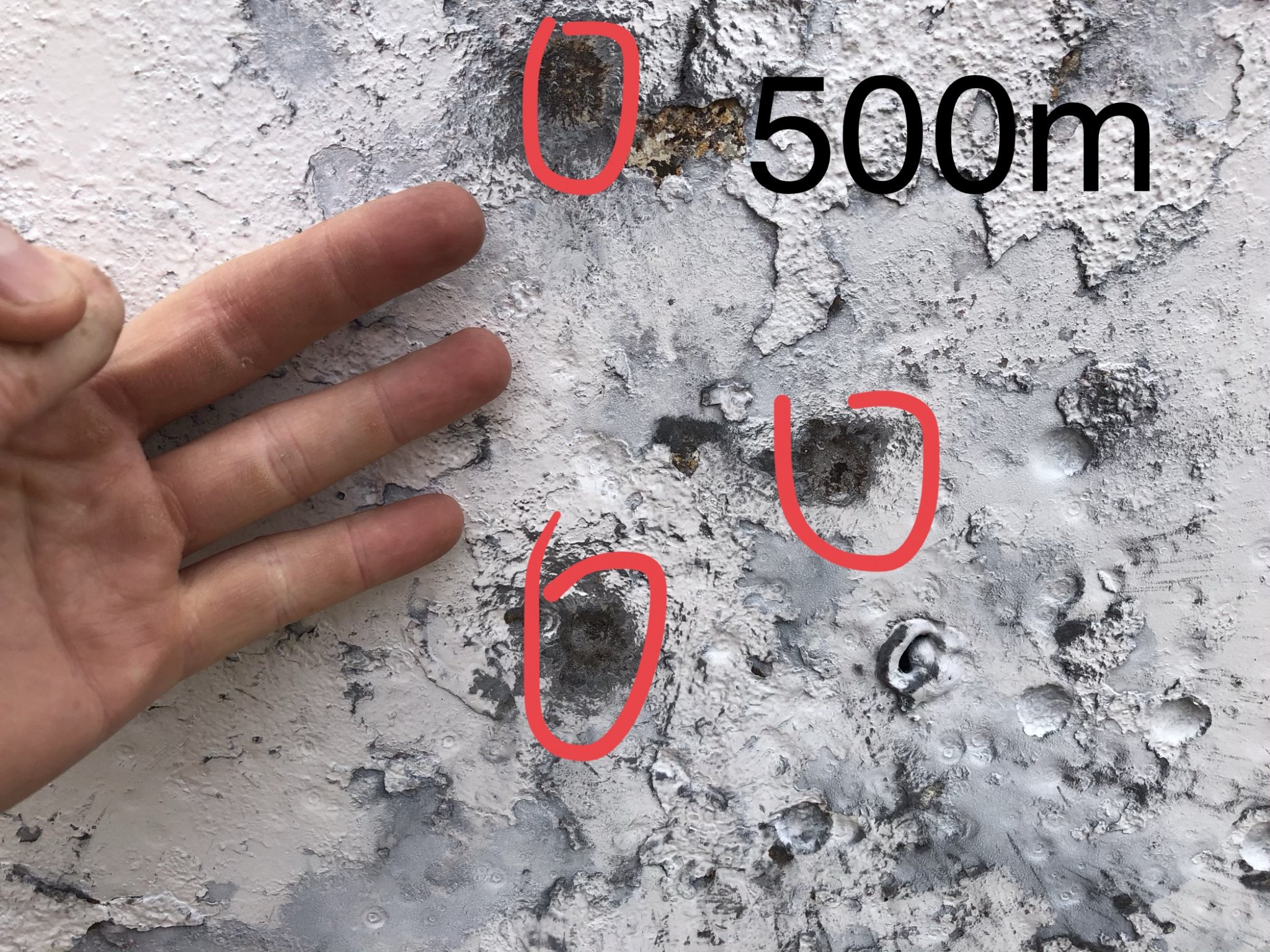 D24957A0-0057-4A71-8B75-1AF1F1120902.jpeg