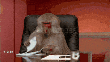 D32BCC3A-4410-4653-8319-44677B94ED70.gif