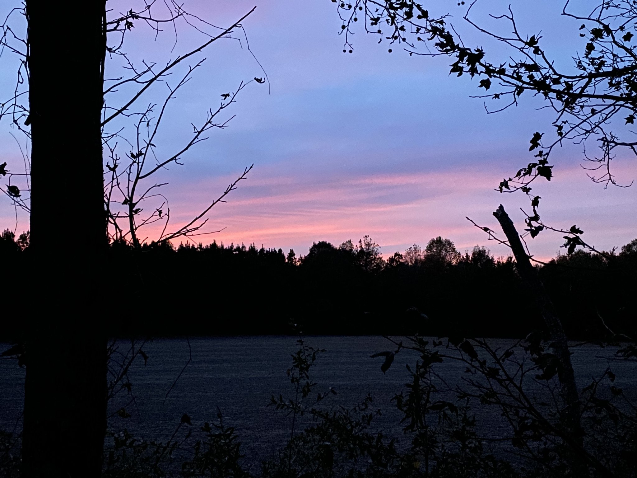 D392747B-913D-4E6F-BA9B-382107265978.jpeg