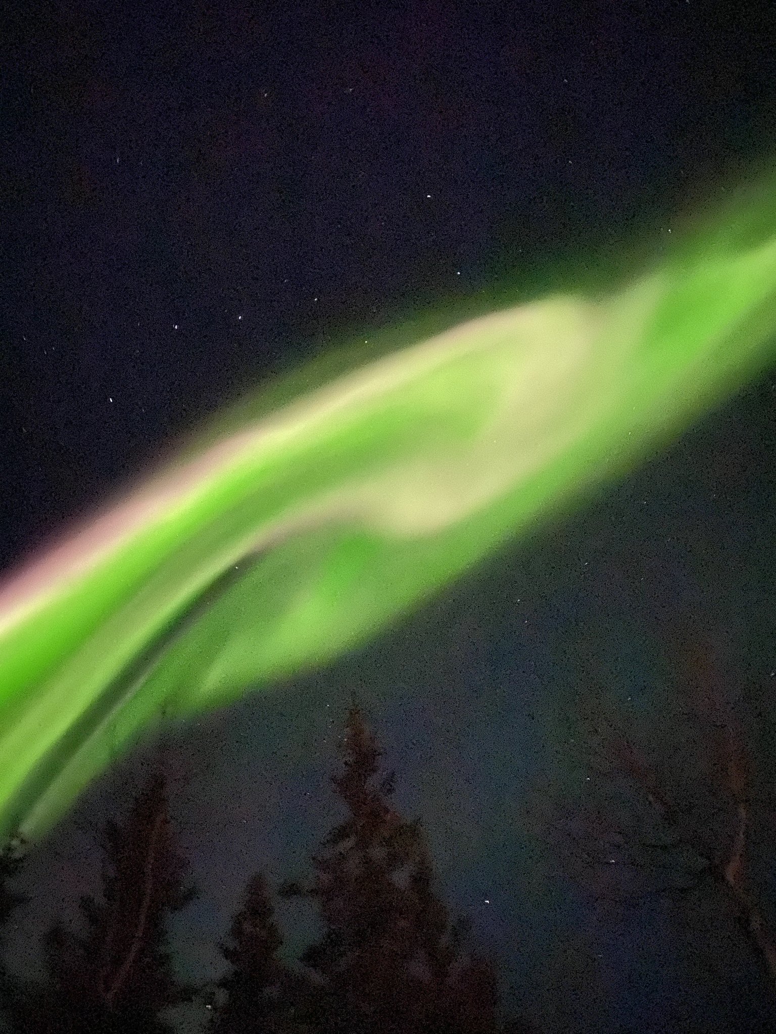 D3C32570-295F-4BC4-81E4-BE71B168135C.jpeg