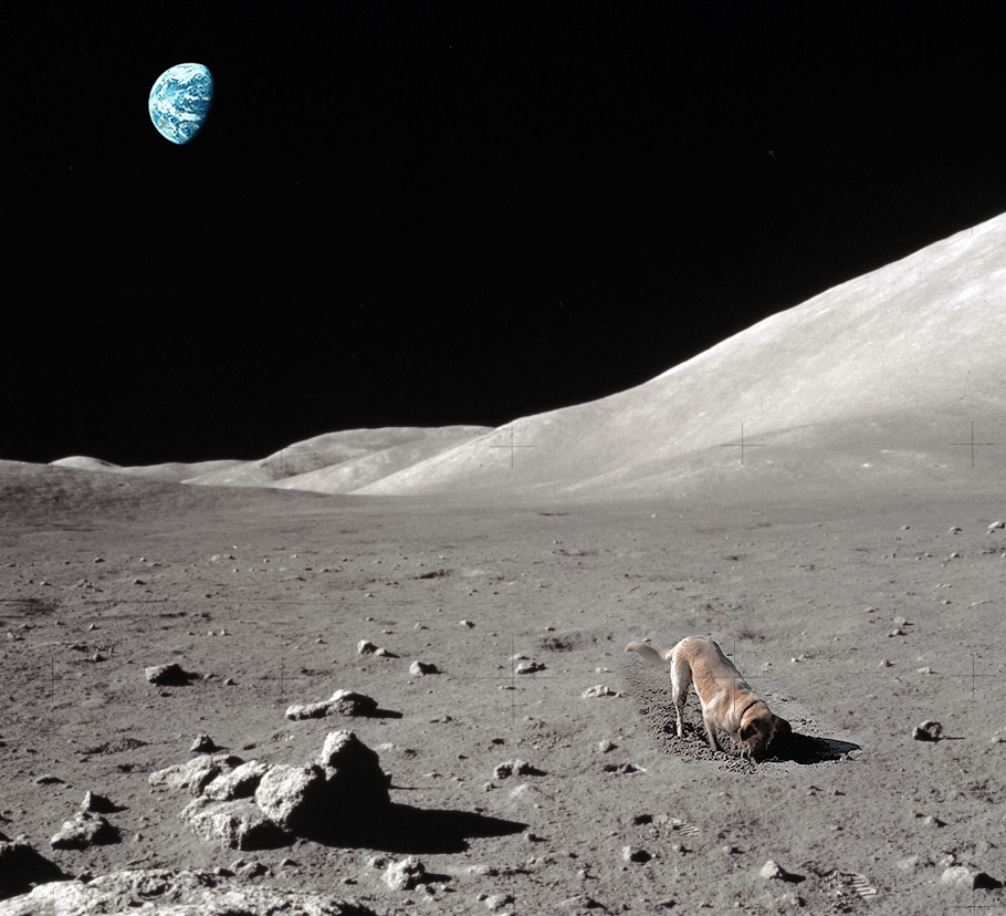 D4785EF6-2206-4067-8036-7B9693A4585C.gif