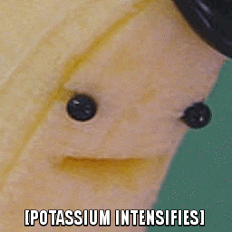 D4F7EEAD-F169-4835-99AB-847F11680CBA.gif