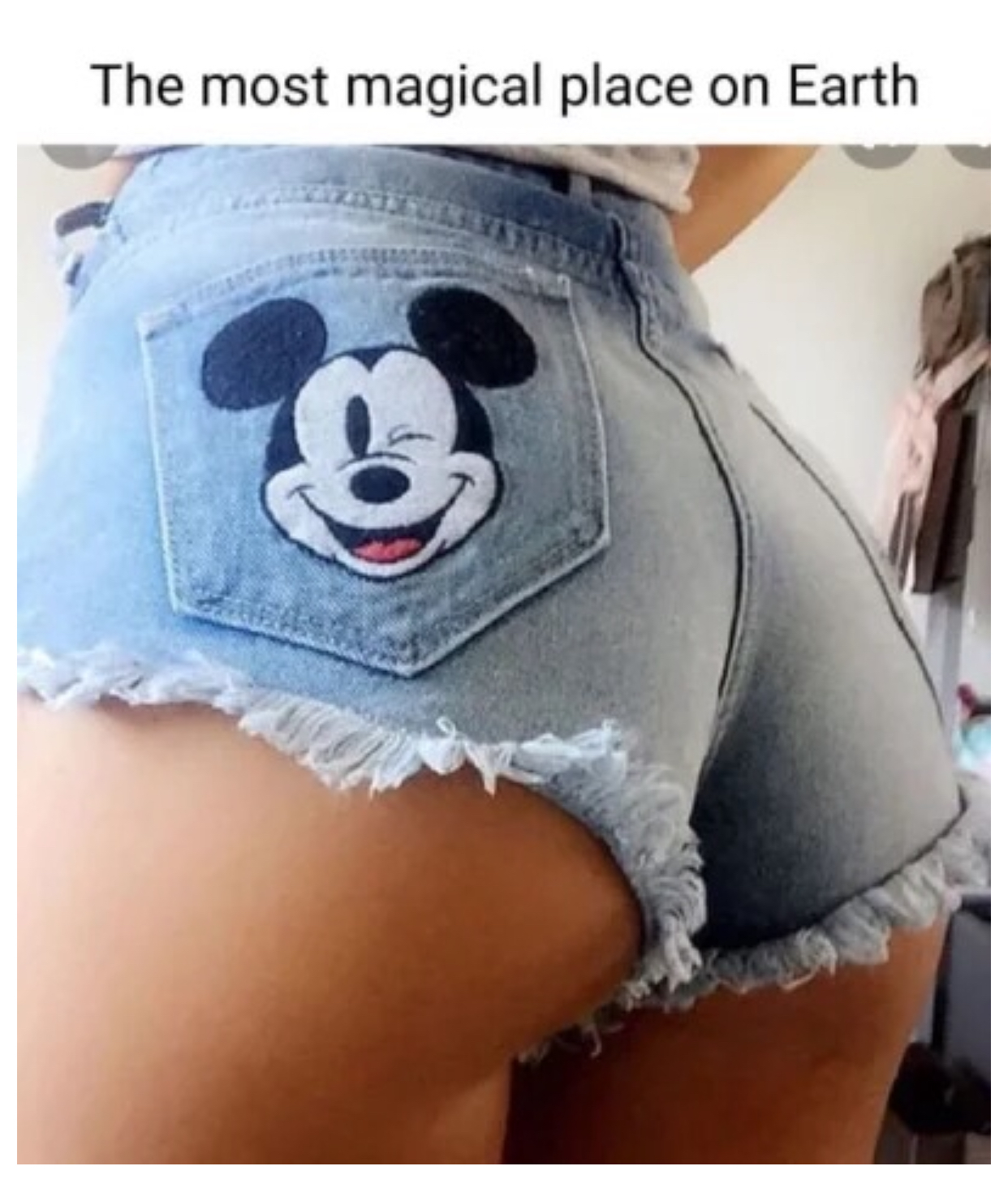 D5237299-D6D1-40C7-9267-F6EE21D3AEE9.jpeg