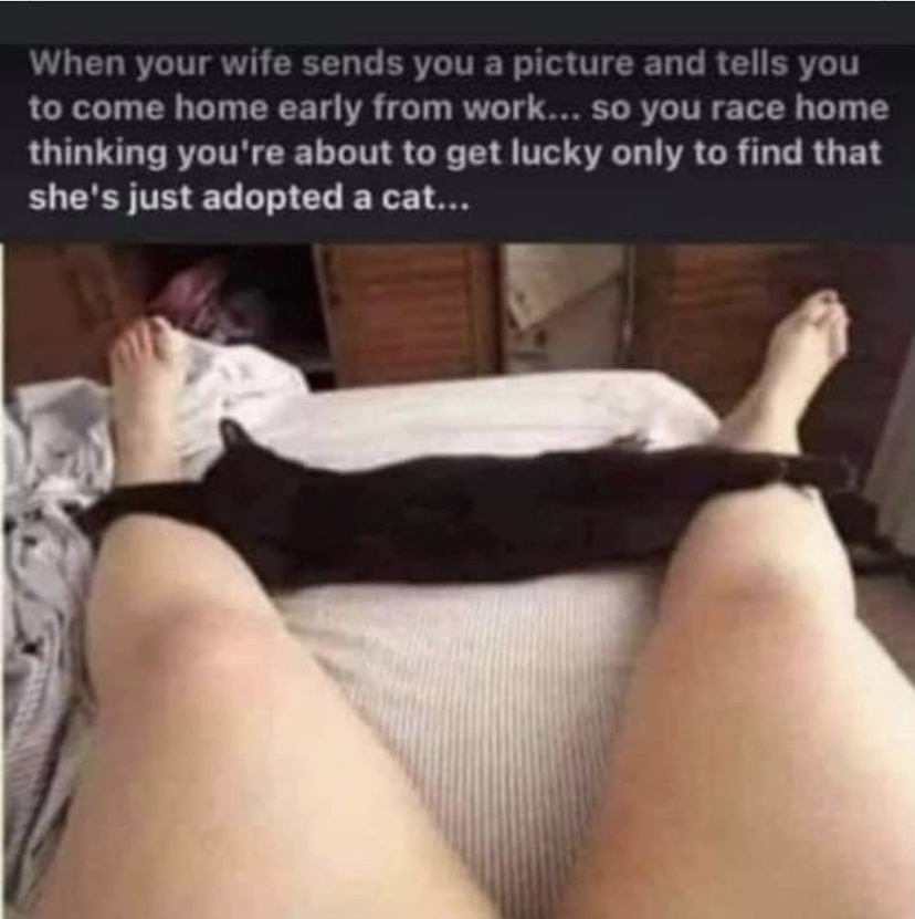 D5771D69-F811-458F-9E57-C86C8C998AD1.jpeg