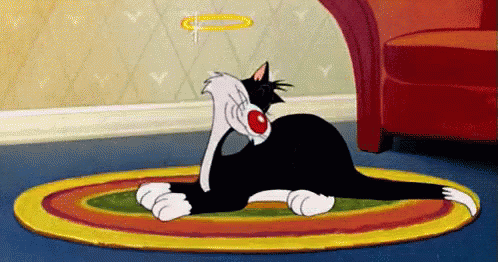D66CBC41-99DD-4C59-9357-FA31429B4872.gif