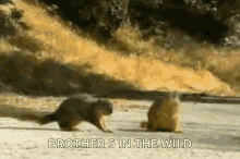 D74AB0E9-C236-46B0-B510-9514A5689393.gif
