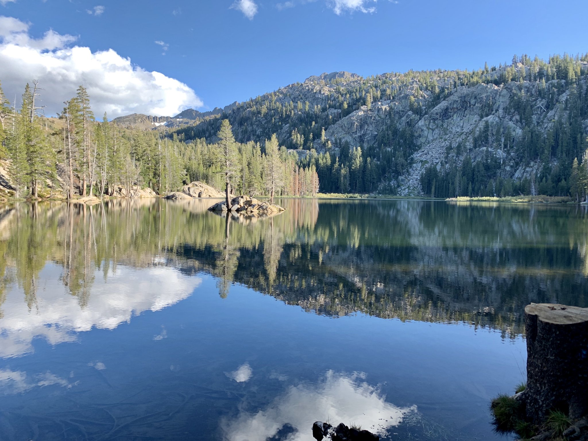 D76F17D1-1AB0-4427-9DCB-C6B8C324697B.jpeg