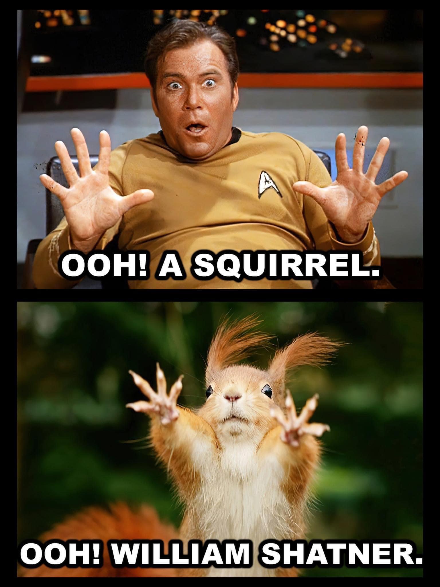 D7F1876F-8B63-406E-B24B-DB395636B3AB.jpeg