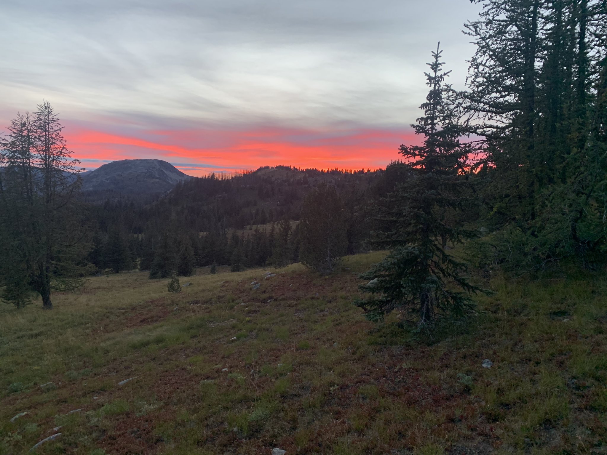 D824AB04-F0F5-4F37-8009-1401EC0FEF4C.jpeg