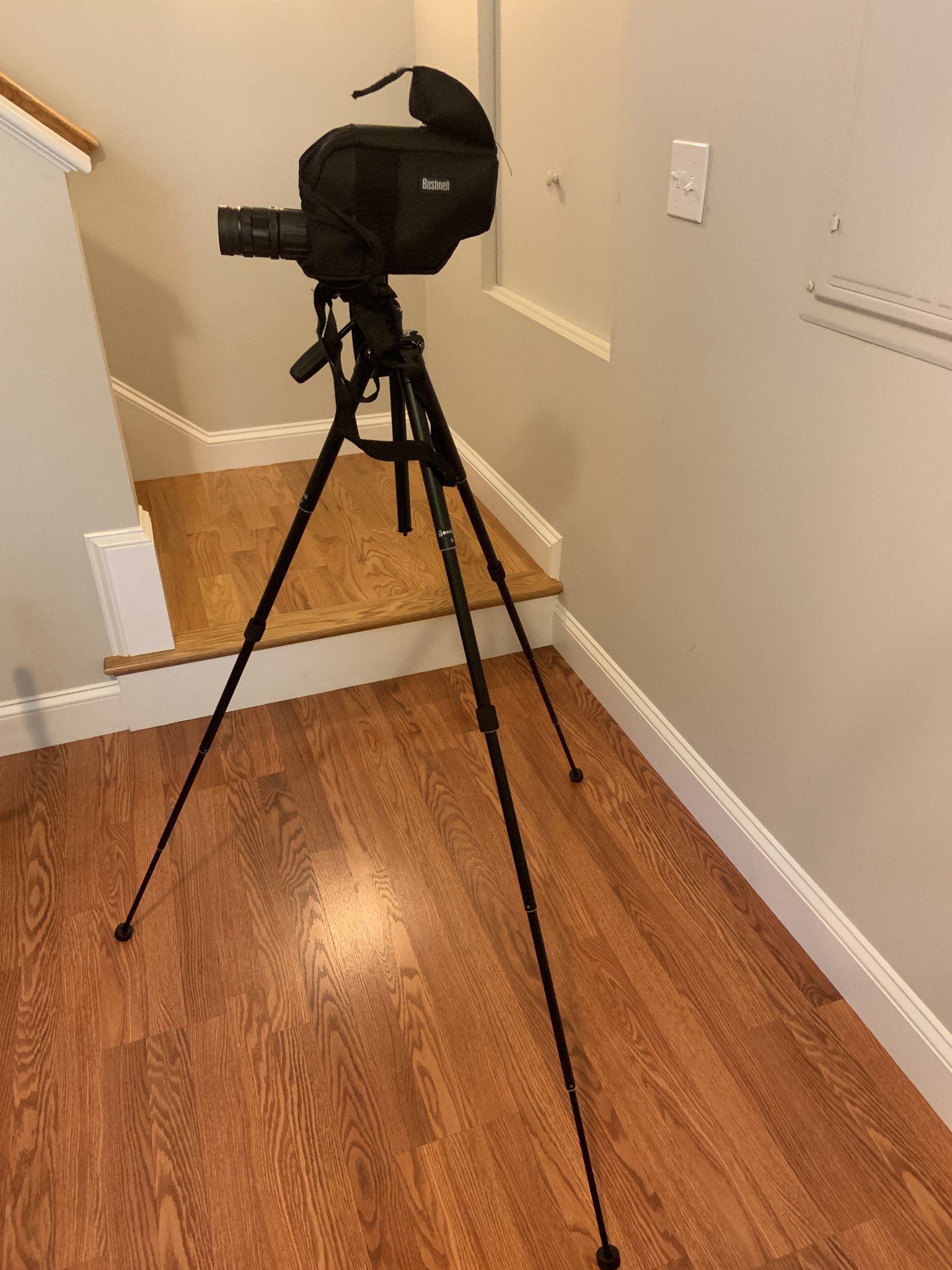 D840F1EF-F26A-4764-B045-26CDCF1E2E1E.jpeg