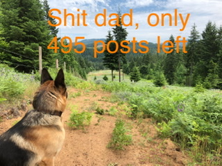 D8BE071E-AD93-47E1-8A44-643CC904DA2B.jpeg