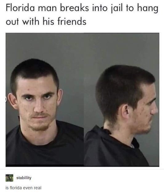 d8oydpfj0dz91.jpeg