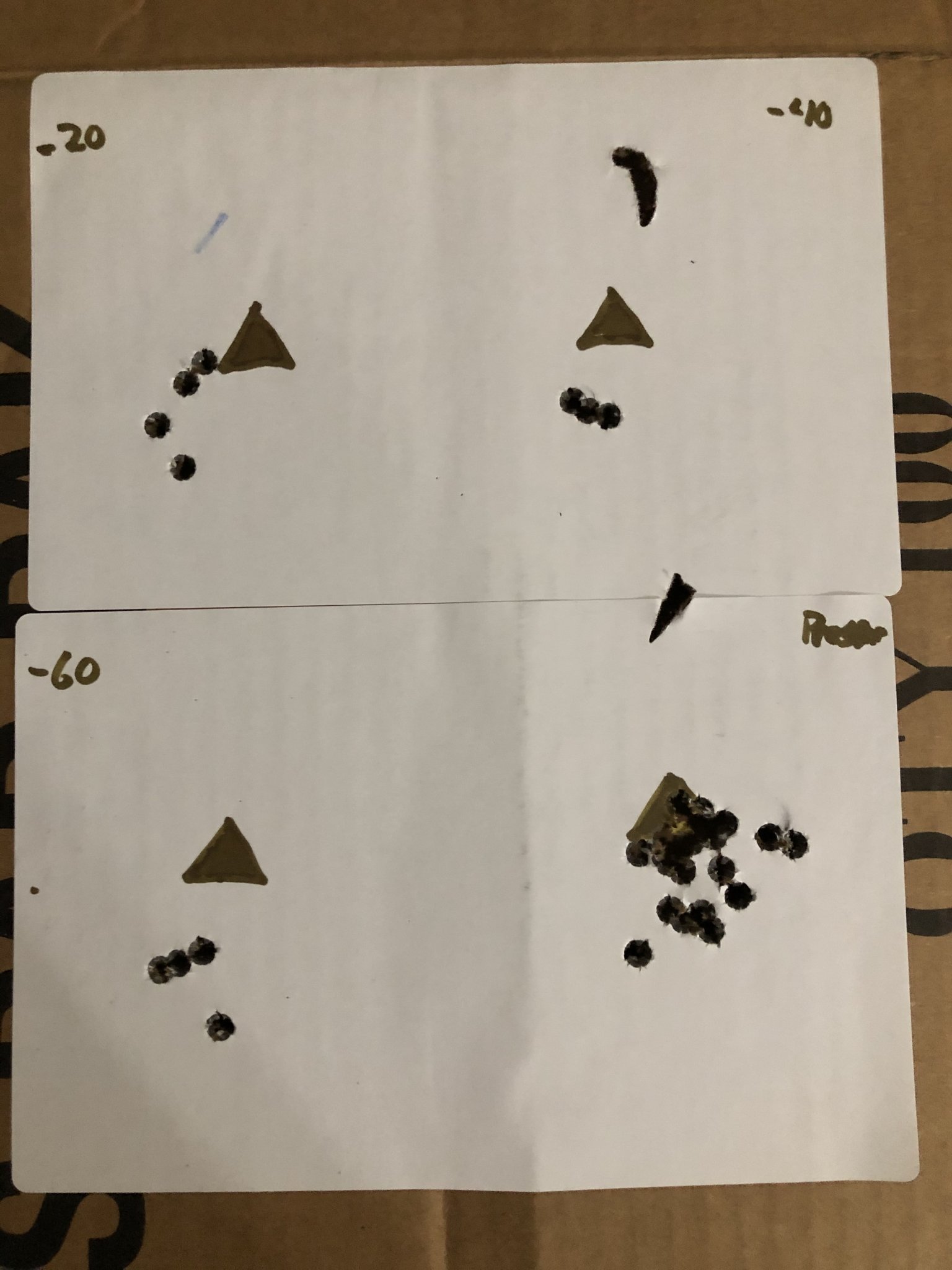 D973583D-2843-4D69-88EA-37A5E5709828.jpeg