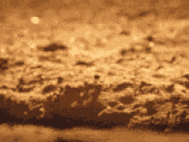 D97E8793-F0E6-4FE4-901B-85AA89D234F2.gif