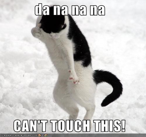da-na-na-na-cant-touch-this.jpeg