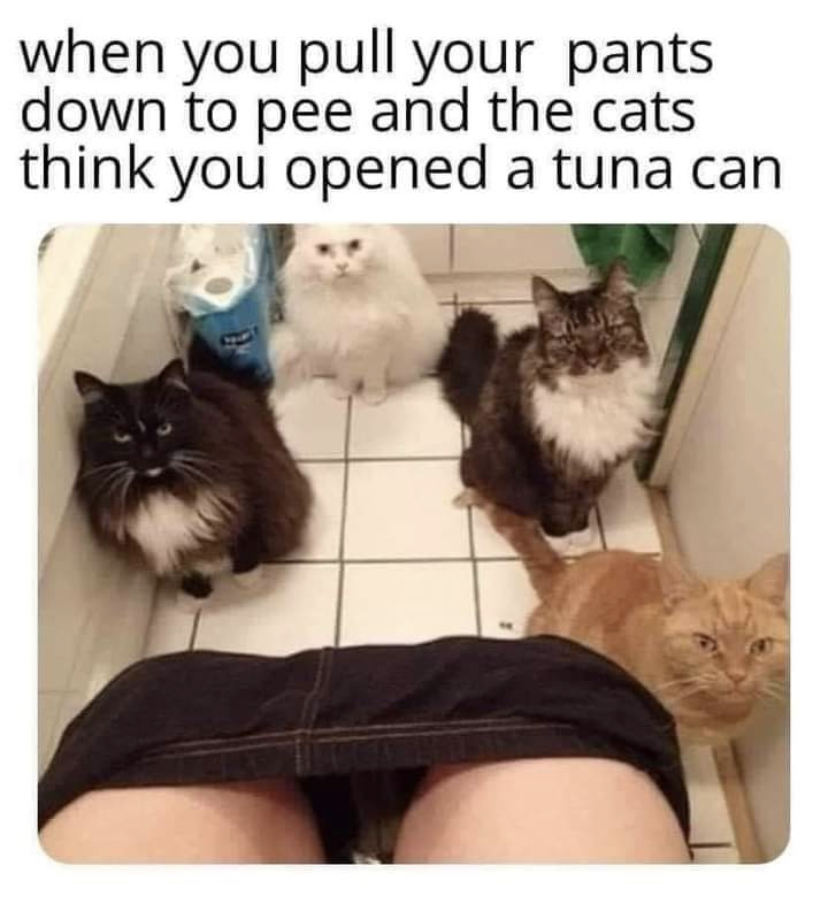 DA1B2260-6883-4F7F-A40F-199B83367141.jpeg