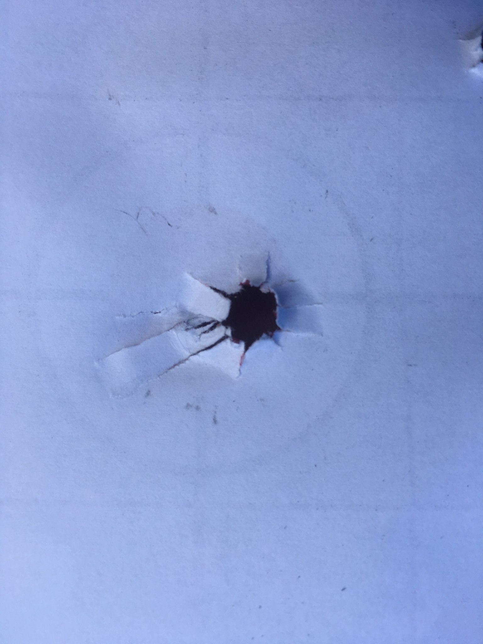 DAB5462C-FD97-4F24-AE1B-BE30775DE2B3.jpeg