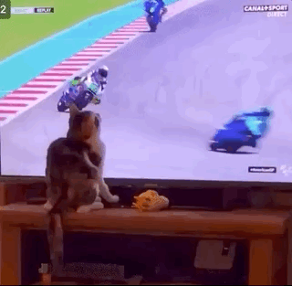 daily-afternoon-randomness-49-photos-1-7.gif