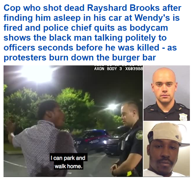 daily mail propaganda.png