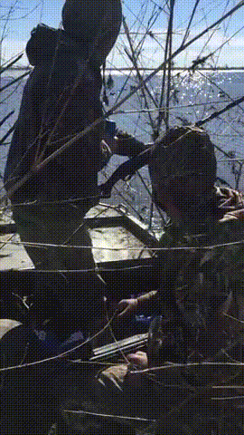 daily-morning-awesomeness-35-photos-2.gif