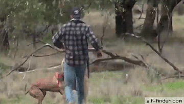 daily-morning-awesomeness-35-photos-4-6.gif
