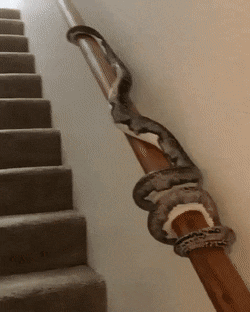 daily-morning-awesomeness-40-photos-5-3.gif
