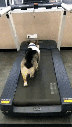 daily_gifdump-14-1.gif