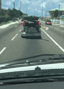 daily_gifdump-21-2.gif