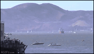 daily_gifdump-3-3.gif