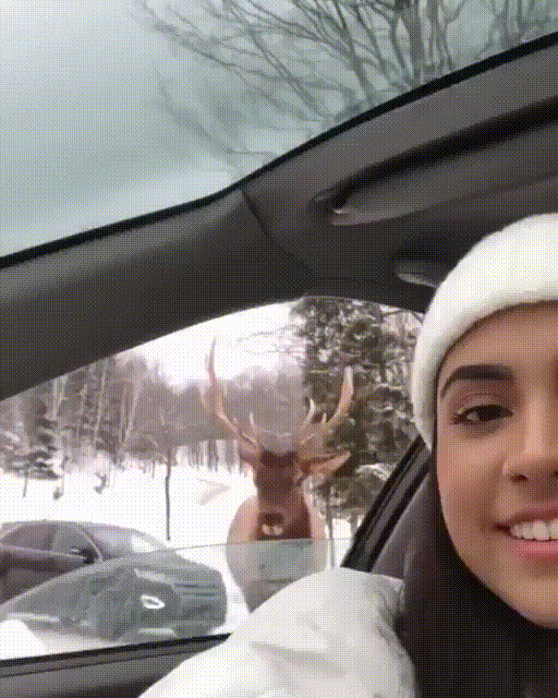 daily_gifdump-3-5.gif
