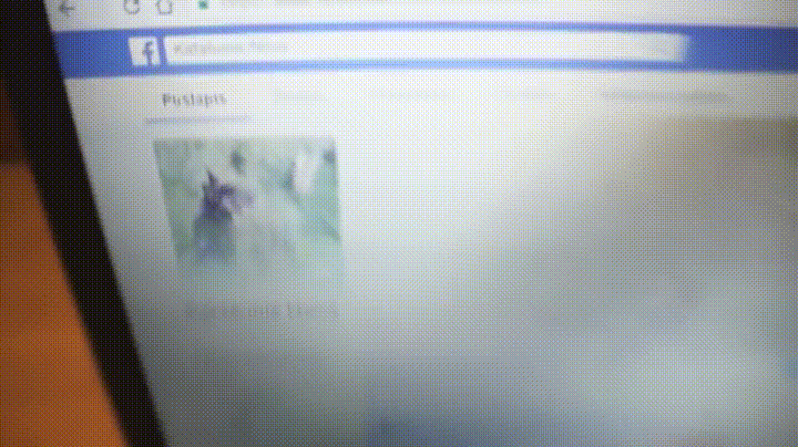 daily_gifdump-3-8.gif