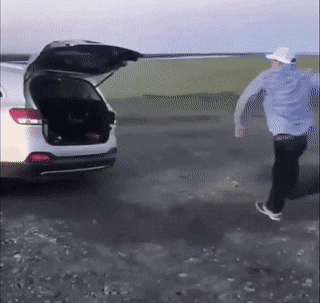 daily_gifdump-6-4.gif