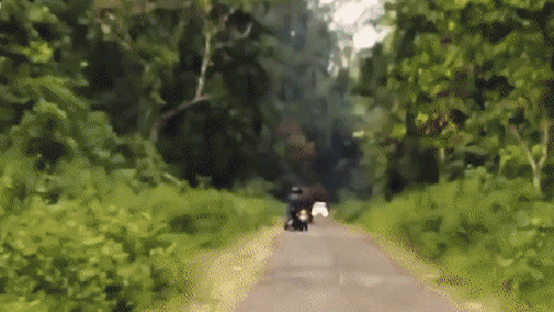 daily_gifdump_1076_05.gif