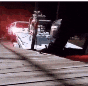 daily_gifdump_3298_21.gif