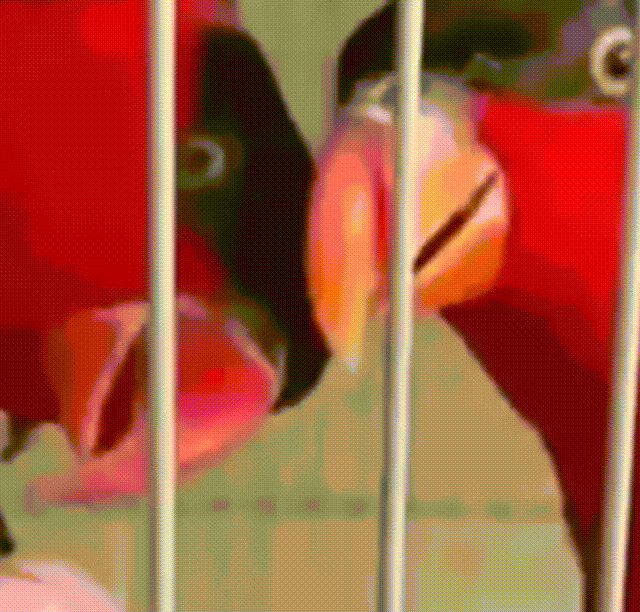 daily_gifdump_3301_05.gif