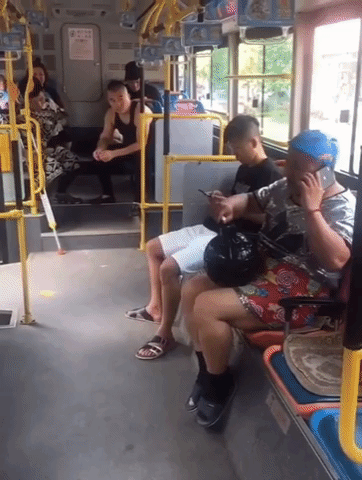 daily_gifdump_3351_01.gif