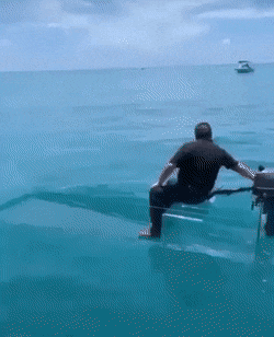 daily_gifdump_3398_26.gif