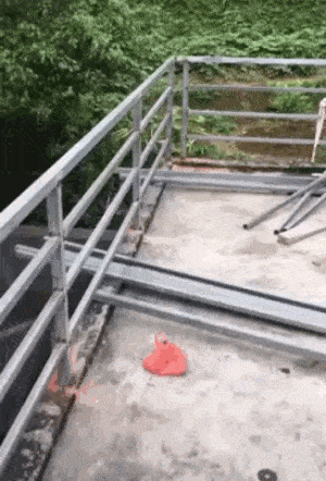 daily_gifdump_3398_30.gif