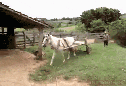 daily_gifdump_3410_08.gif