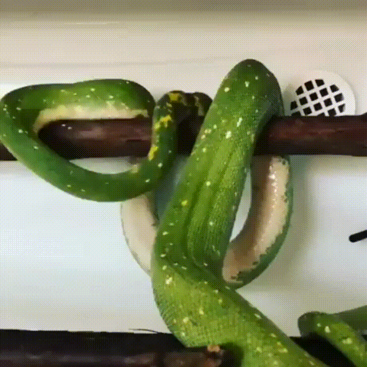 daily_gifdump_3425_02.gif