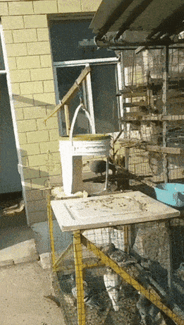 daily_gifdump_3501_28.gif