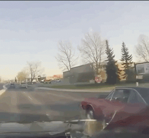 daily_gifdump_3579_09.gif